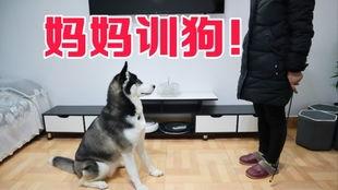 狗哥爆料新鞋视频播放,新鞋视频播放，潮流新品抢先看！